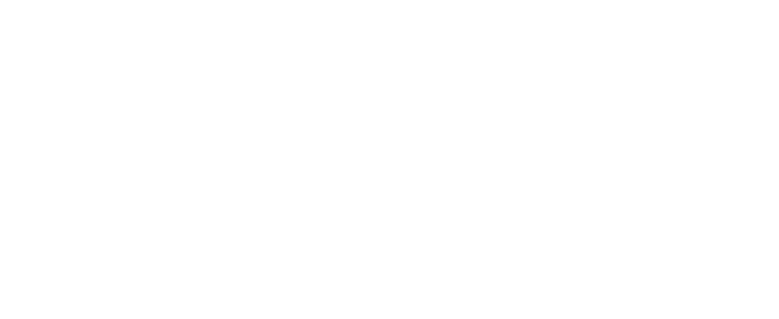 Logo-TipischVeluwe-wit